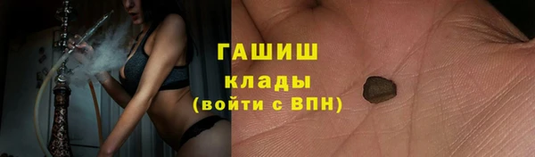 крисы Алзамай