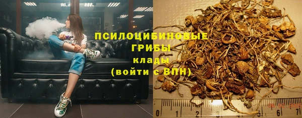 крисы Алзамай