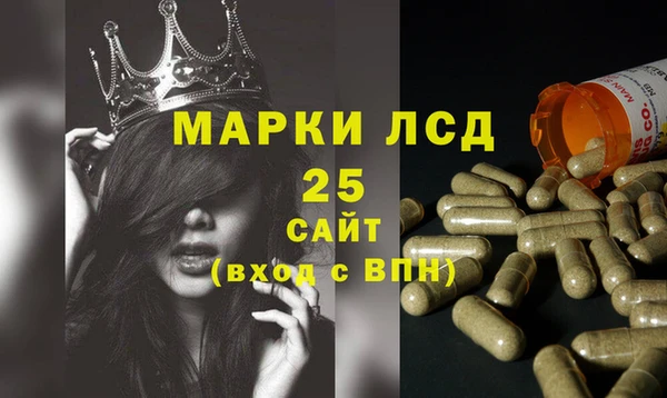 крисы Алзамай