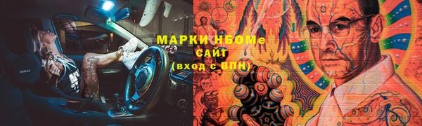 стаф Алексин